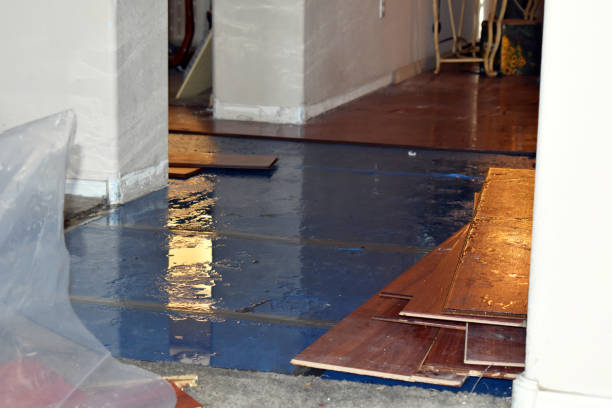 Professional Flood Damage Repair technician working in Hopewell, OH